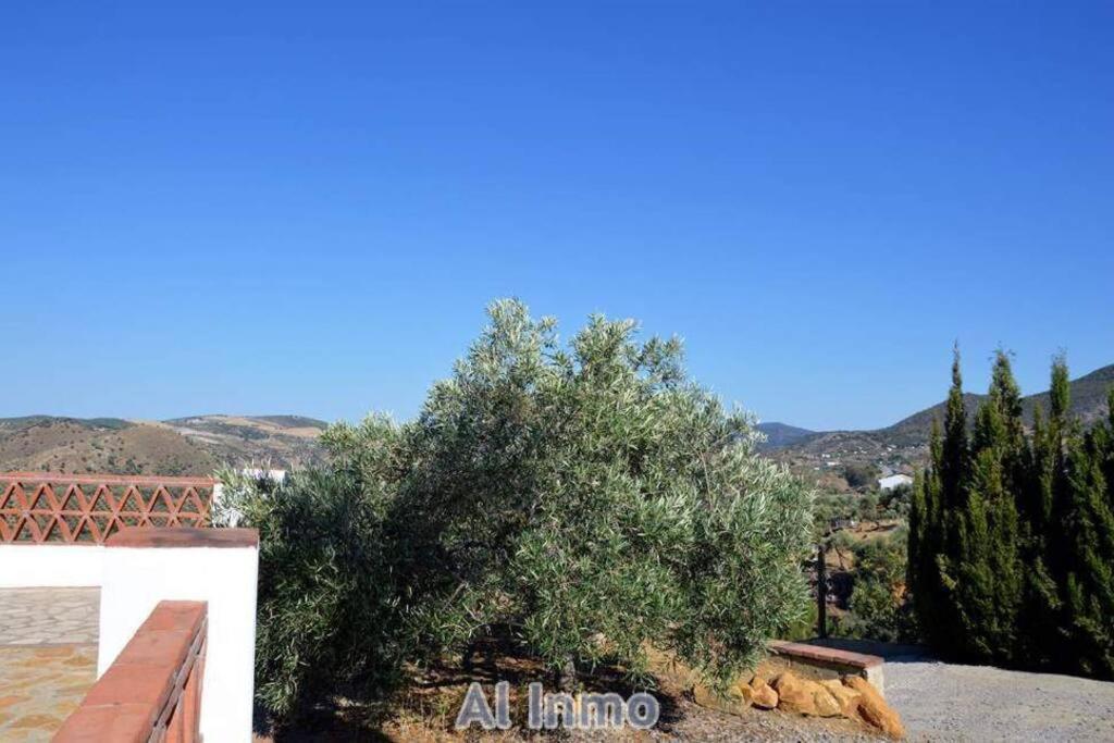 Las Palmeras - Ein Stueck Vom Paradies - Behagliches Haus Mit Pool アルゴドナレス エクステリア 写真